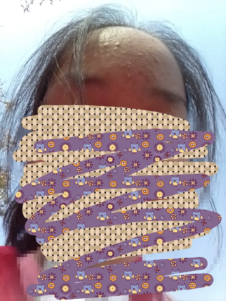 微信图片_20241211084709.png